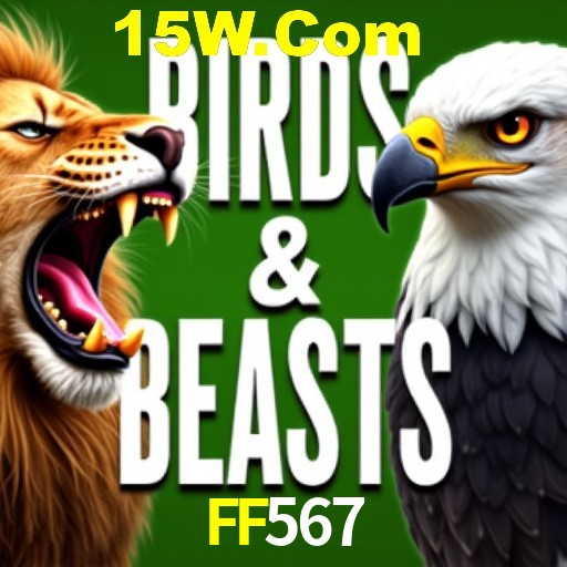 Explorando a Categoria de Eventos em Apostas na FF567